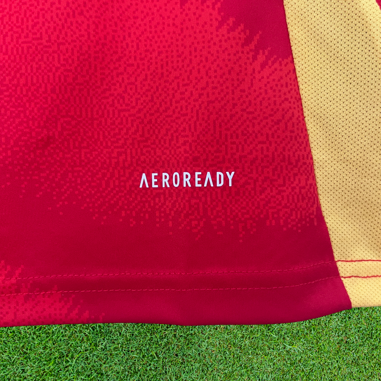 Spain Home Jersey 24/25 Fan Version