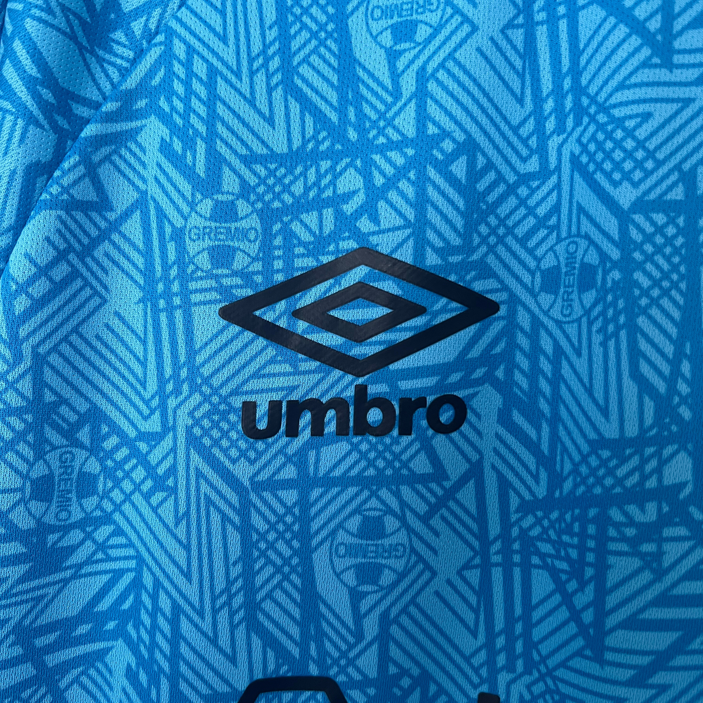 Grêmio Training Shirt 24/25 Fan Version