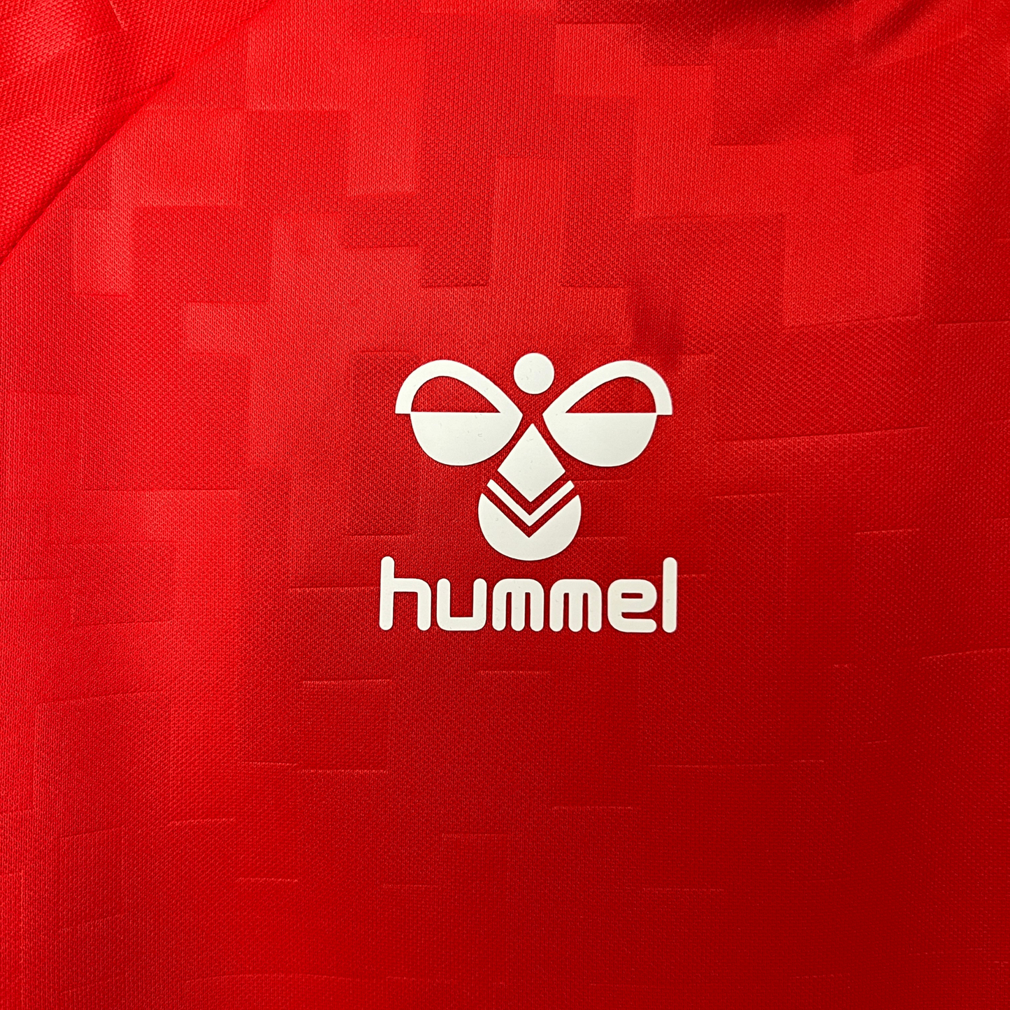 Denmark Home Jersey 2024 Fan Version