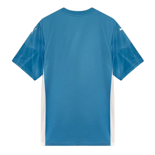 Camisa Palmeiras Goleiro I 25/26 Torcedor