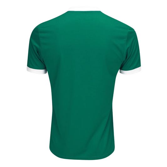 Palmeiras Home Jersey 25/26 Fan Version