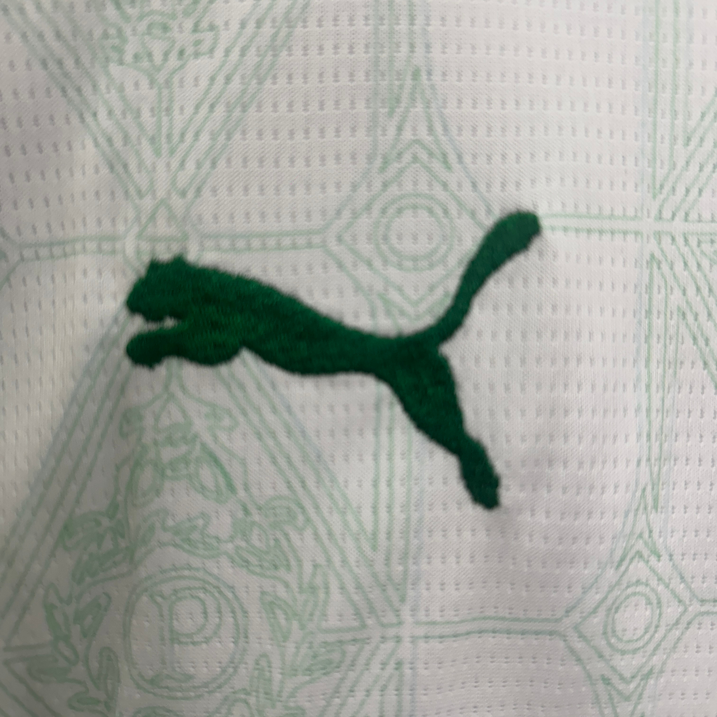 Kit Palmeiras II 25/26 Niños