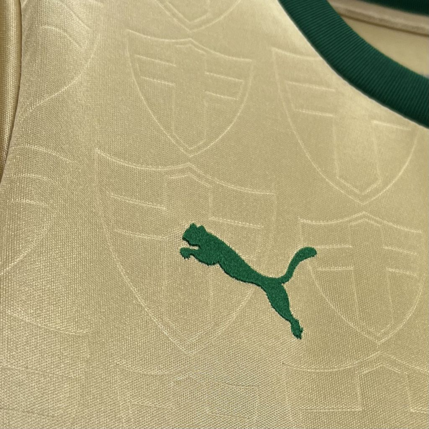 Camisa Palmeiras III 24/25 Feminina Torcedor