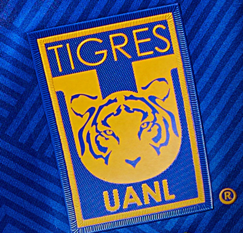 Tigres 24/25 I Away Jersey - Fan Version