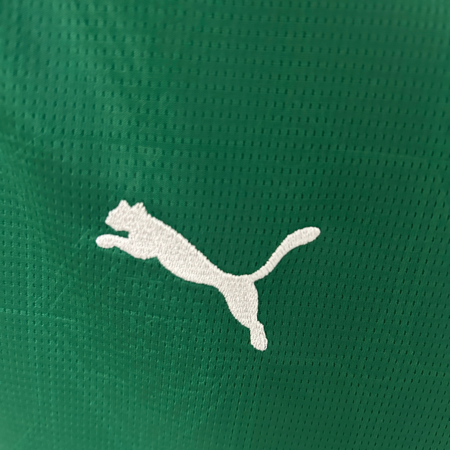 Camiseta local del Palmeiras 25/26, versión para aficionados para mujer 