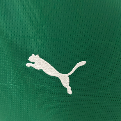 Camiseta local del Palmeiras 25/26, versión para aficionados para mujer 