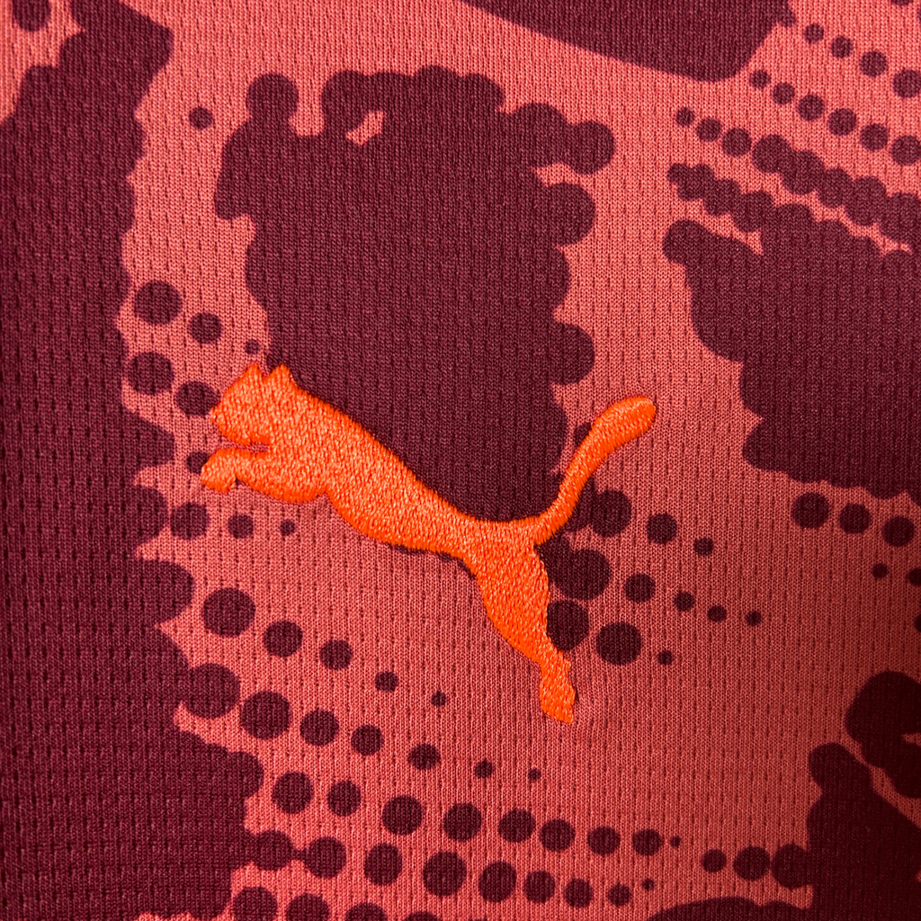 Camisa Palmeiras Goleiro III 25/26 Torcedor