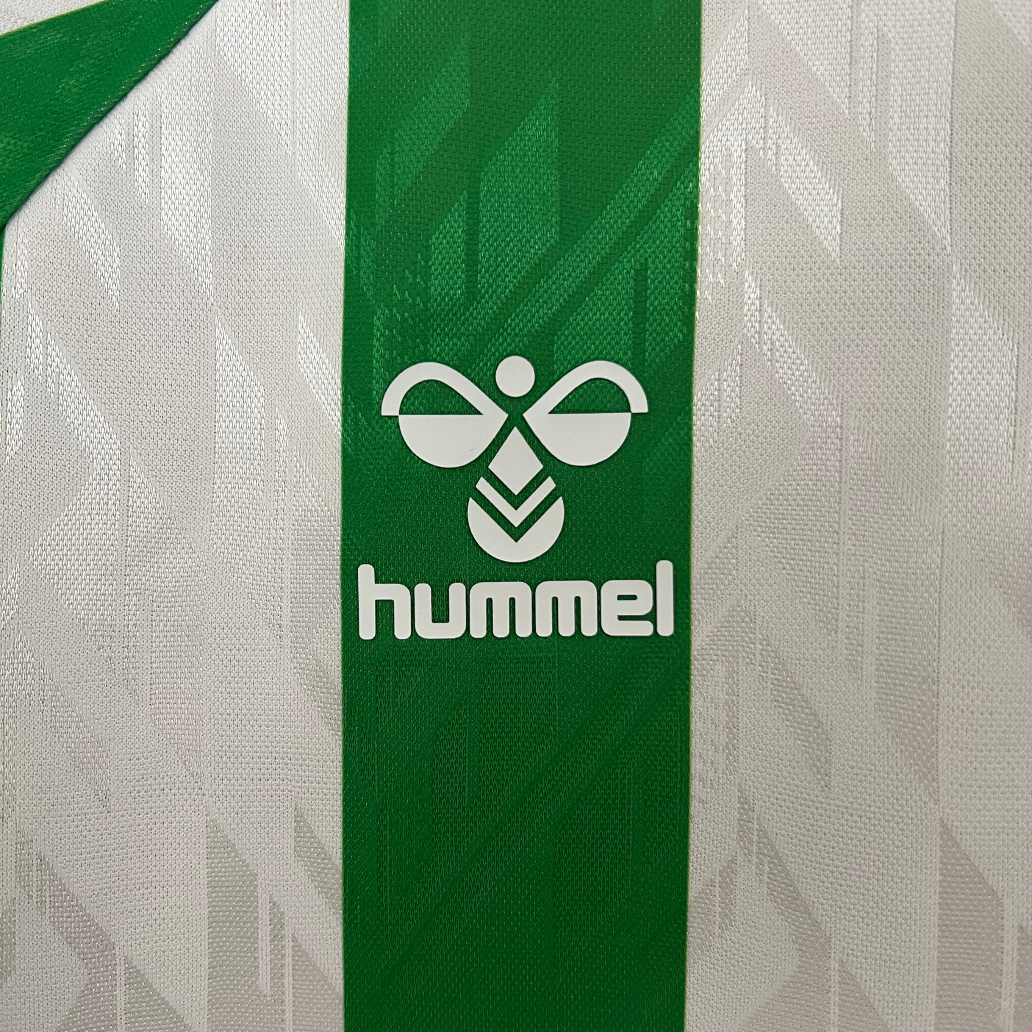 Camisa Real Betis I 24/25 Torcedor