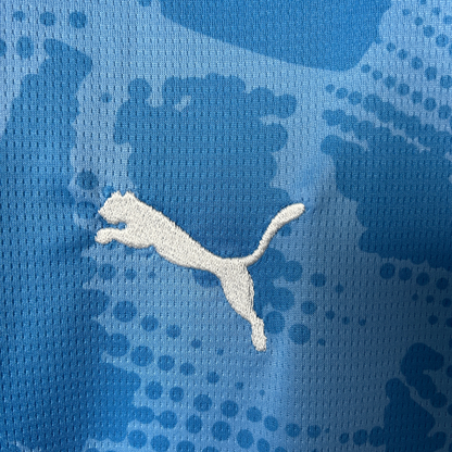 Camisa Palmeiras Goleiro I 25/26 Torcedor