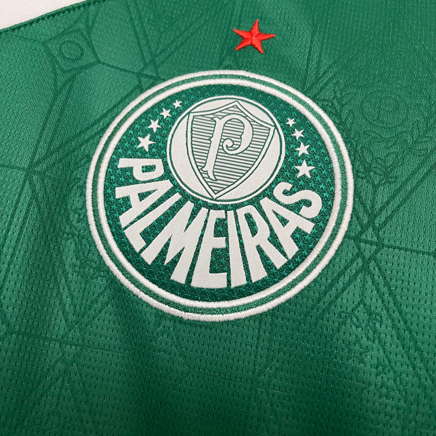 Camisa Palmeiras I 25/26 Torcedor