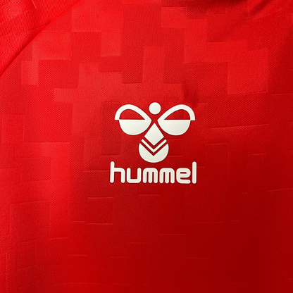 Denmark Home Jersey 2024 Fan Version