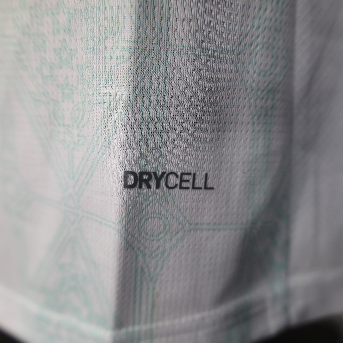 Camiseta Palmeiras Segunda 25/26 Jugador 