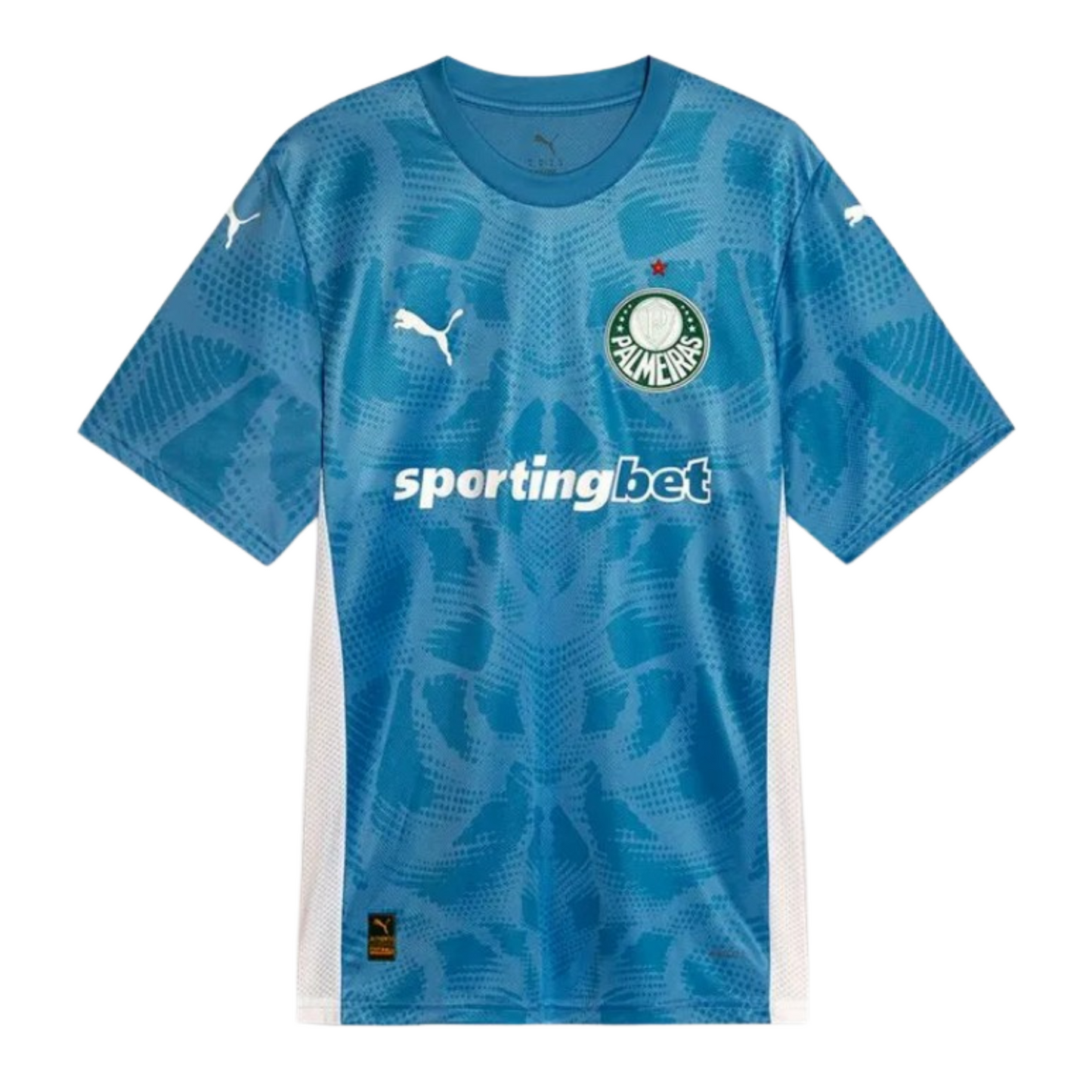 Camisa Palmeiras Goleiro I 25/26 Torcedor