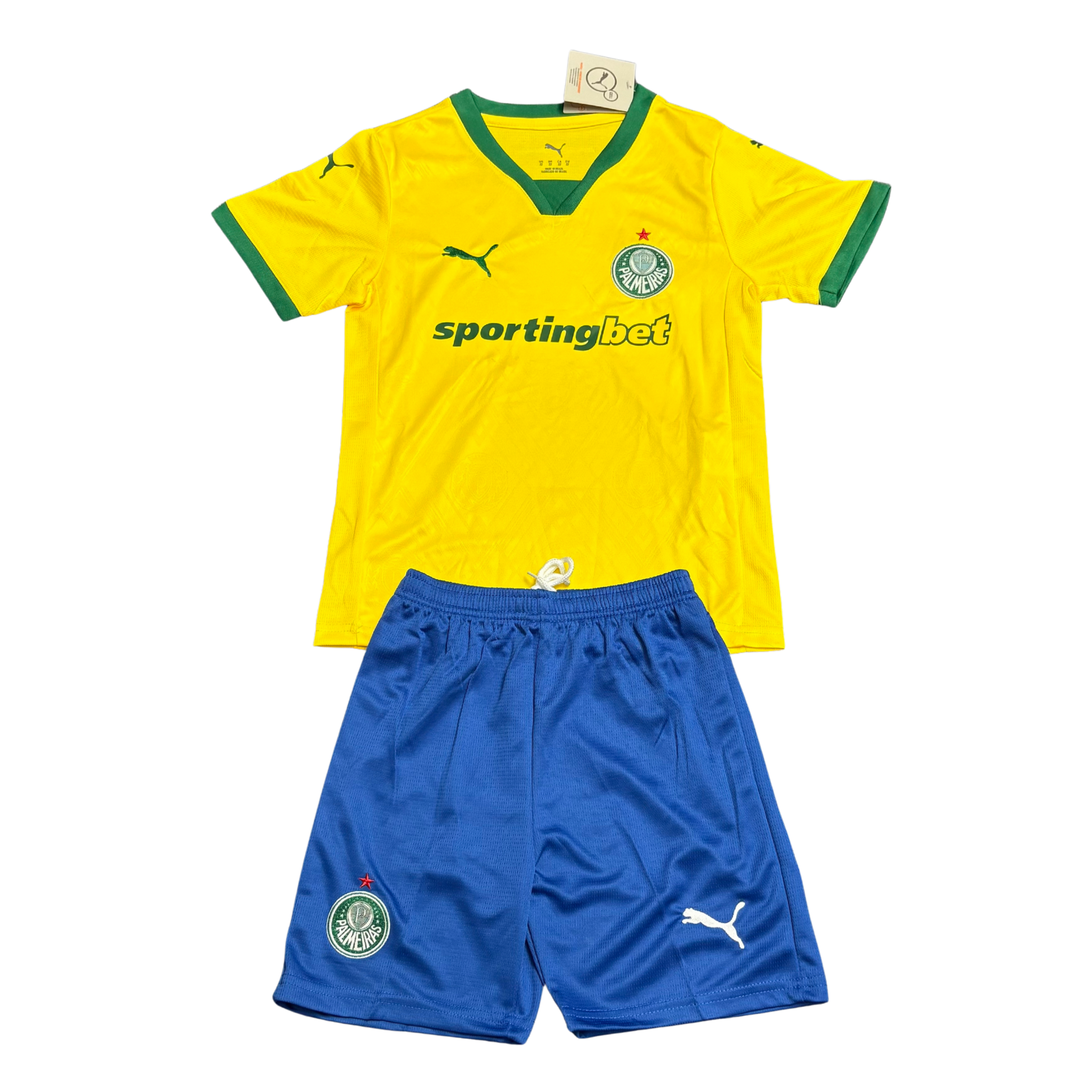 Kit Palmeiras III 25/26 Infantil