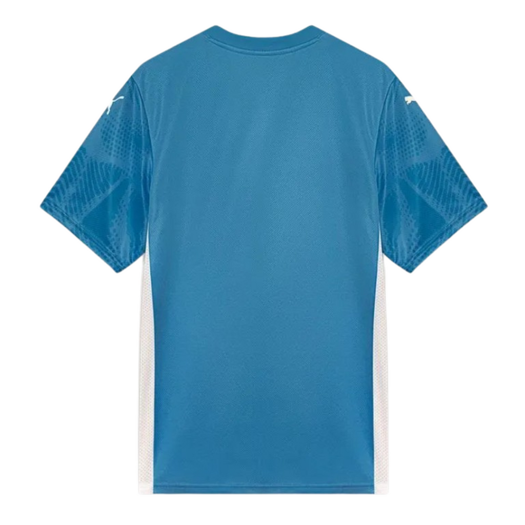 Camisa Palmeiras Goleiro I 25/26 Torcedor