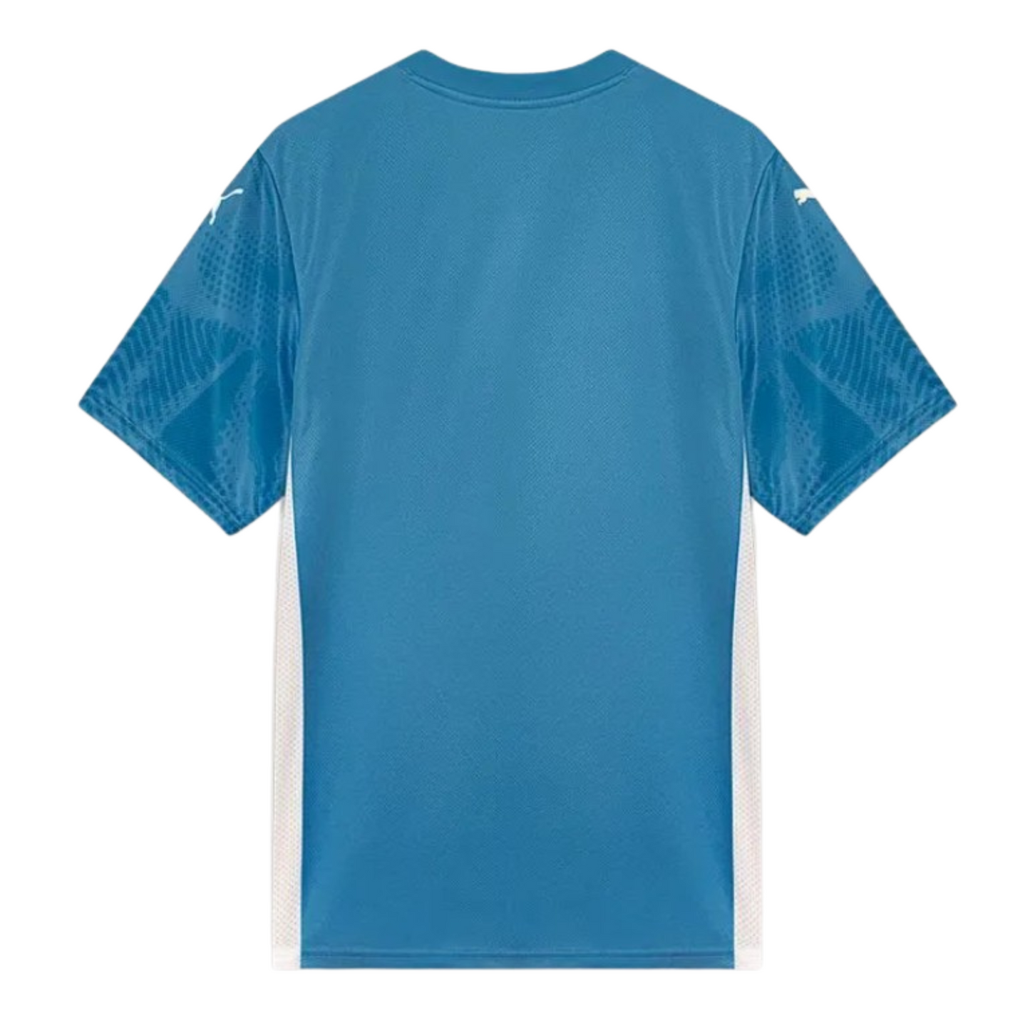 Camisa Palmeiras Goleiro I 25/26 Torcedor