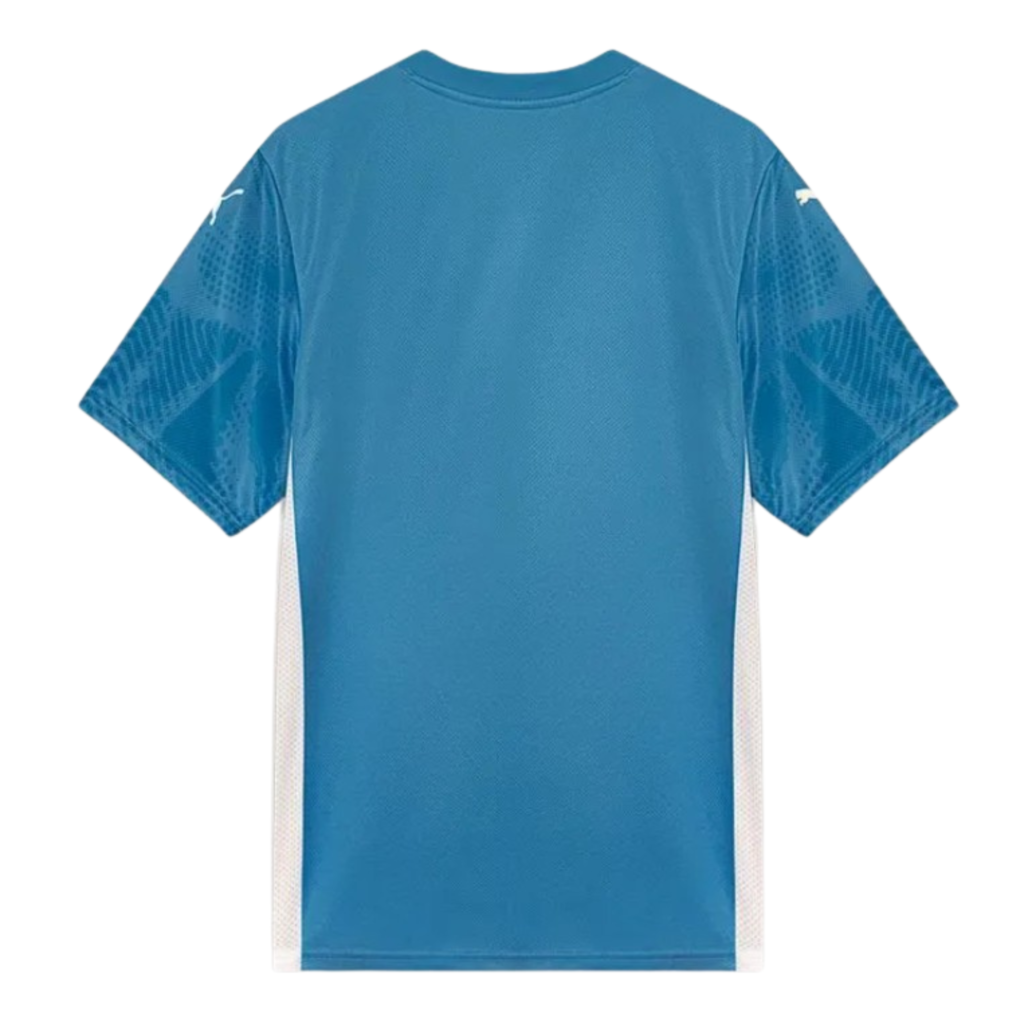 Camisa Palmeiras Goleiro I 25/26 Torcedor