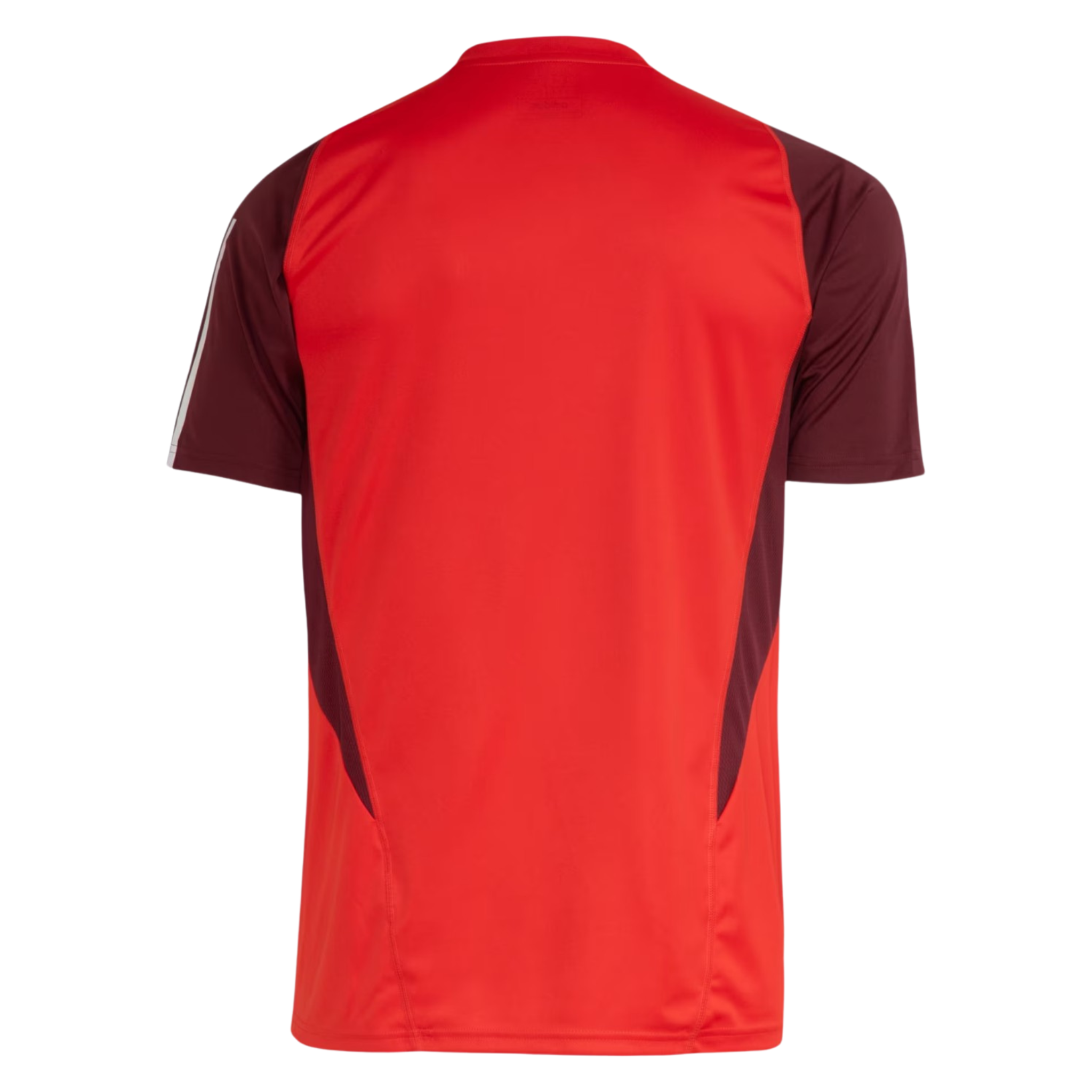 Camisa Internacional Treino 24/25 Torcedor