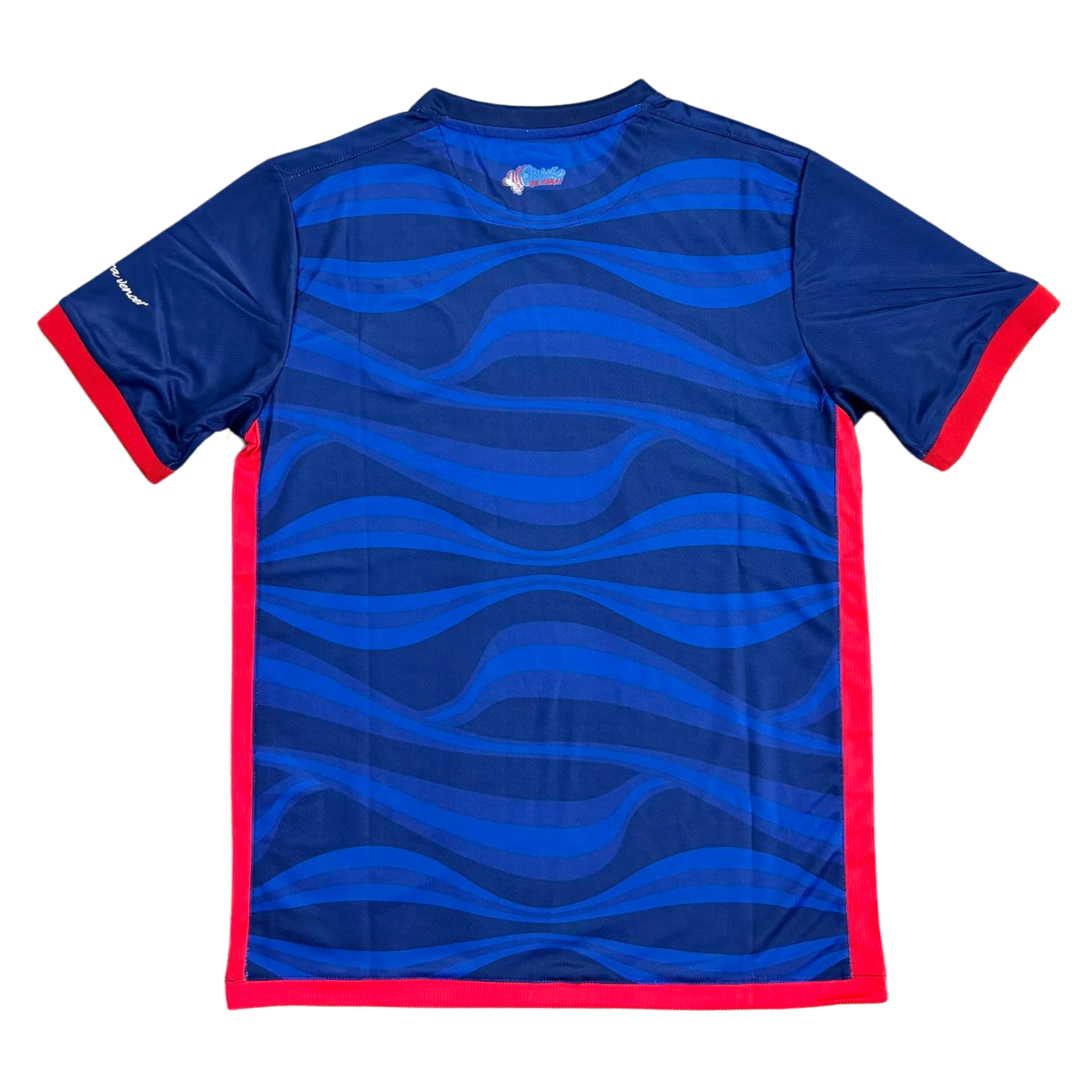 Camisa Bahia III 24/25 Torcedor