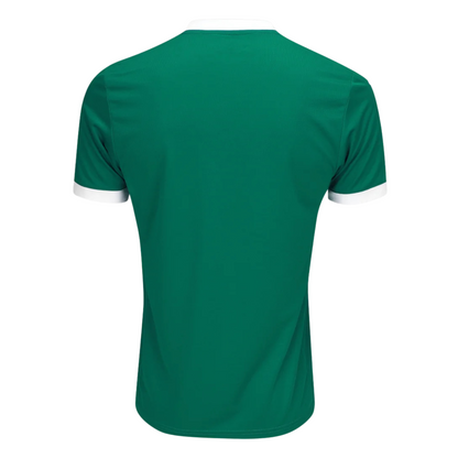 Camisa Palmeiras I 25/26 Torcedor