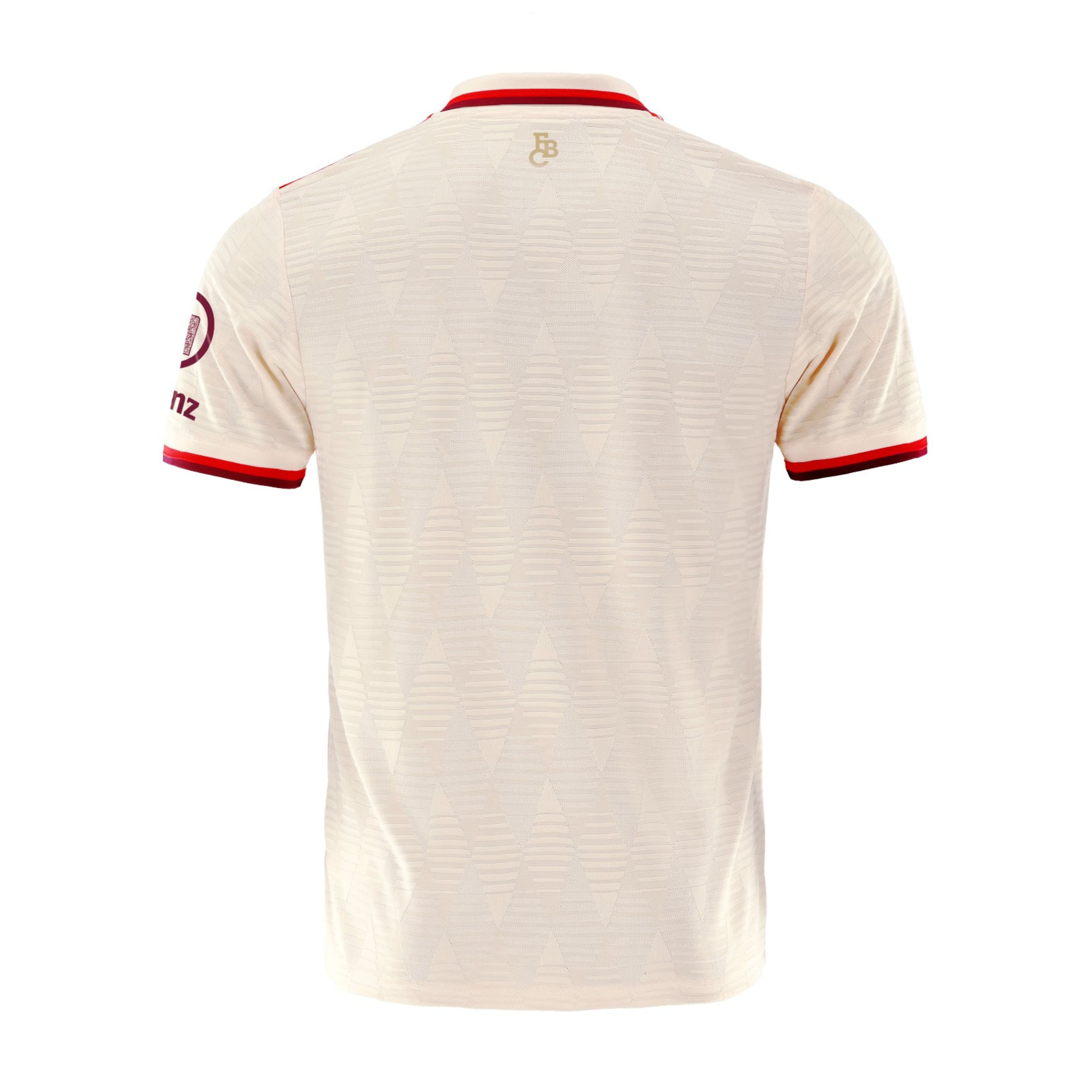 Camisa Bayern Munich III 24/25 Torcedor