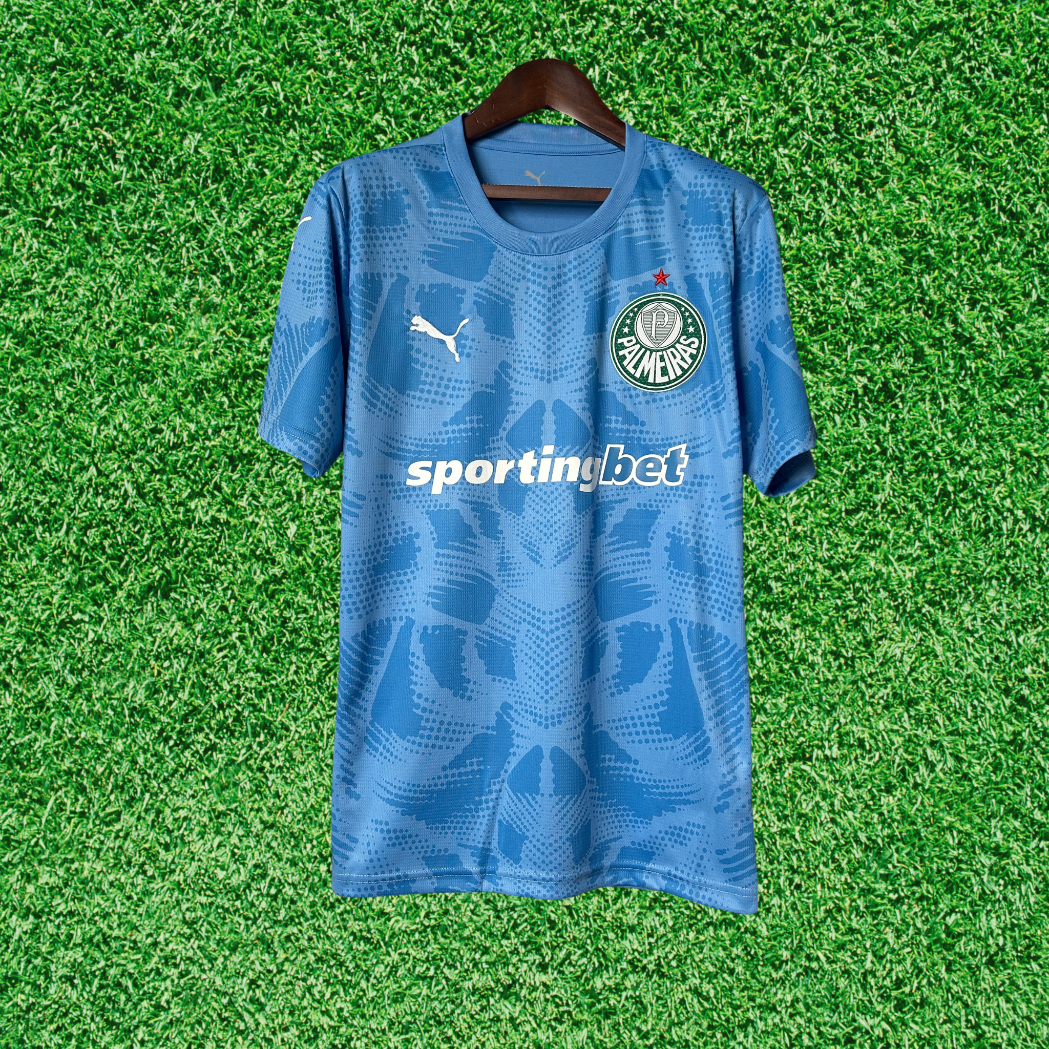 Camisa Palmeiras Goleiro I 25/26 Torcedor