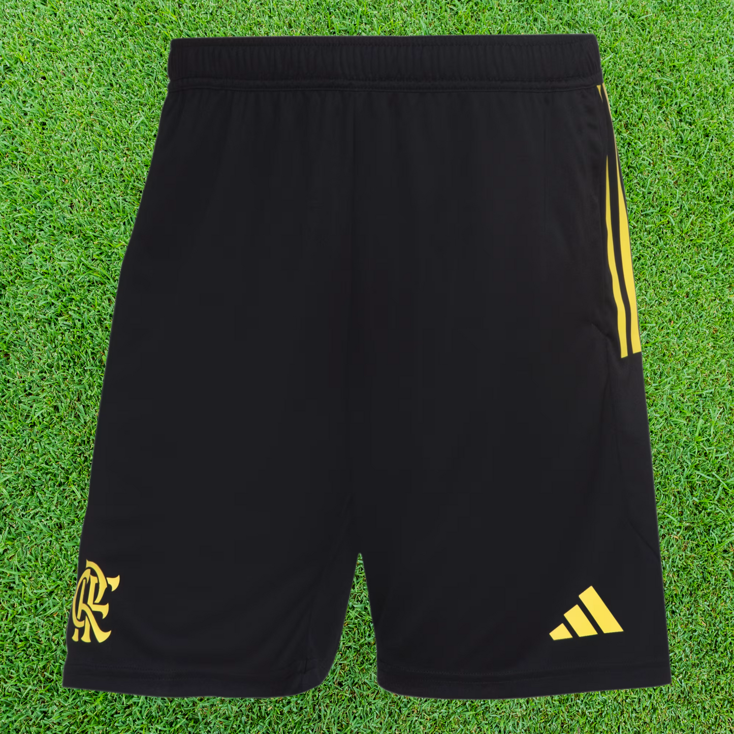 Entrenamiento corto de Flamengo 24/25 