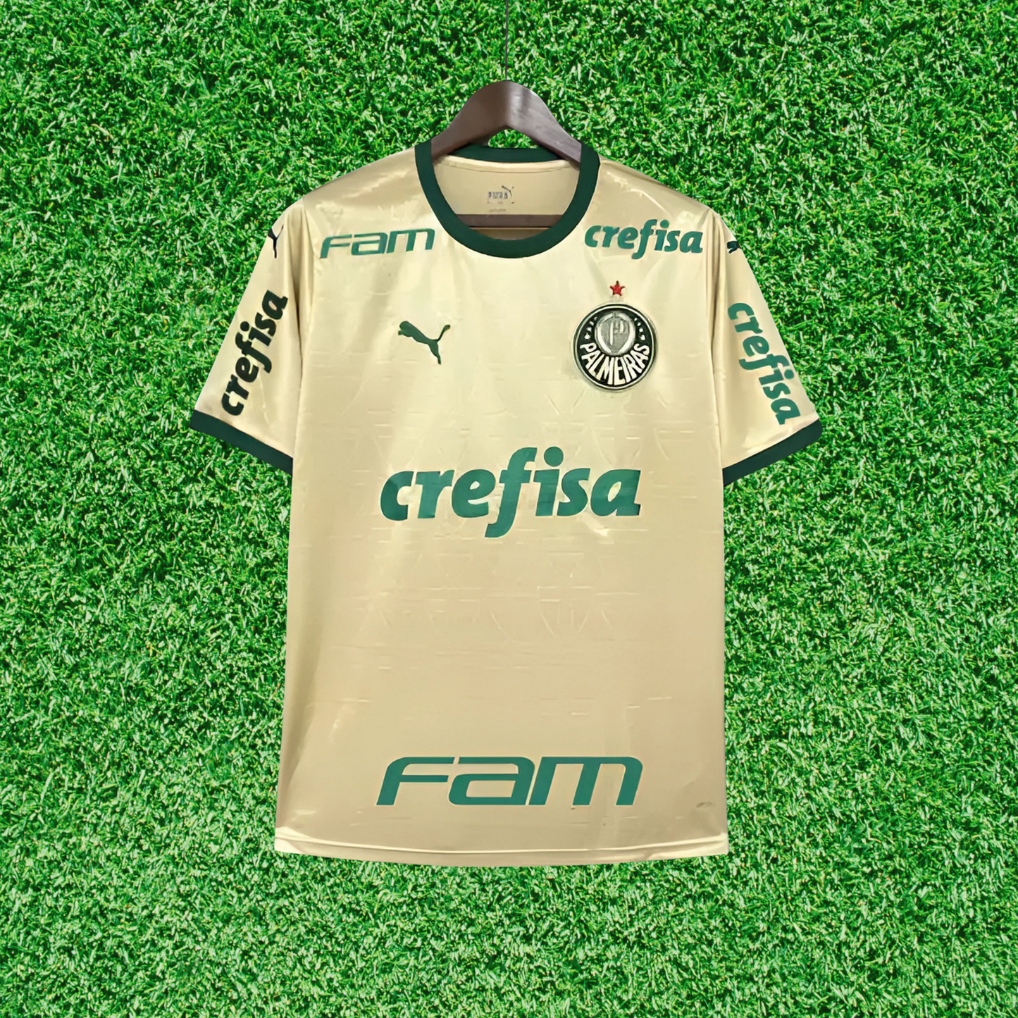 Camisa Palmeiras III 24/25 Torcedor