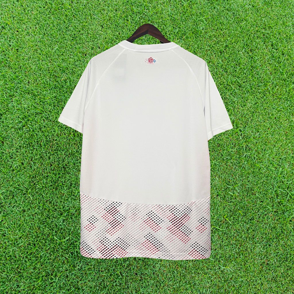 Camisa Lille LOSC II 24/25 Torcedor