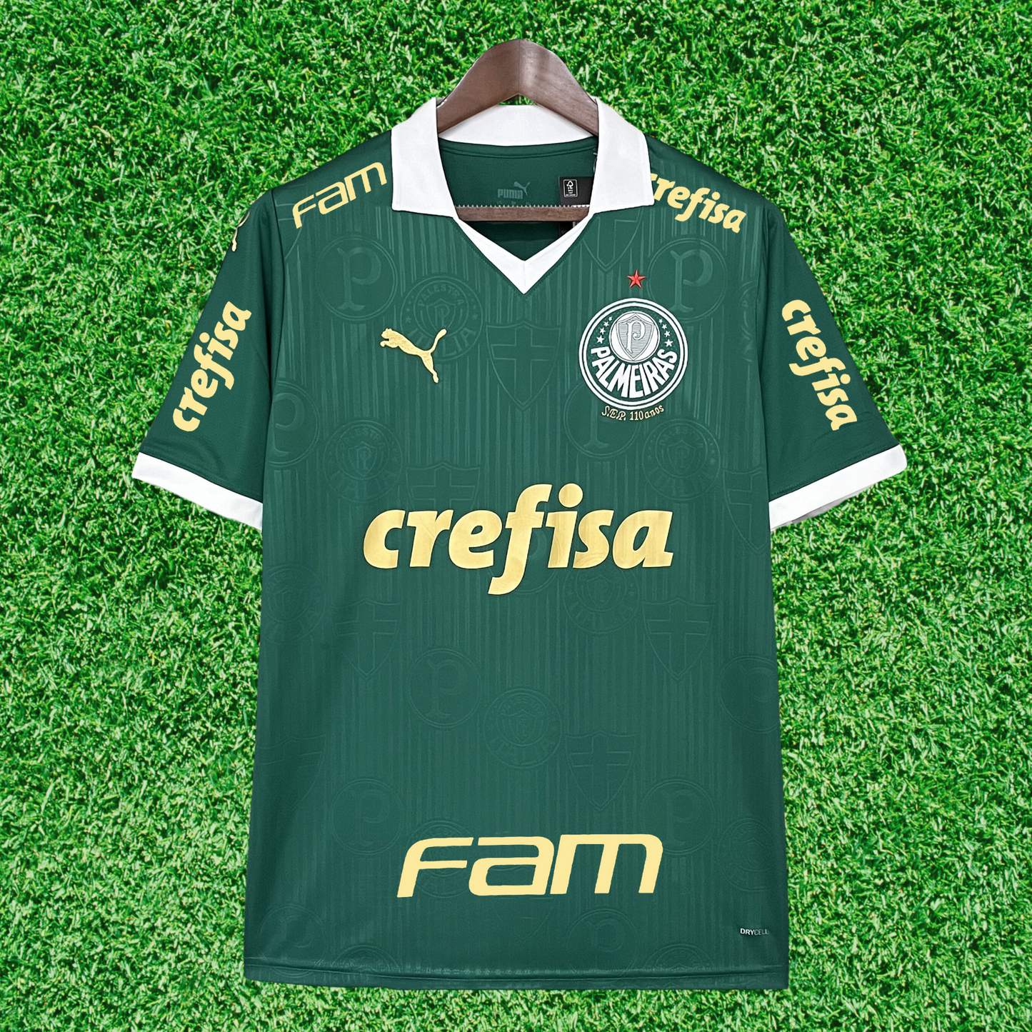 Camiseta Palmeiras Local 24/25 Versión Fan 