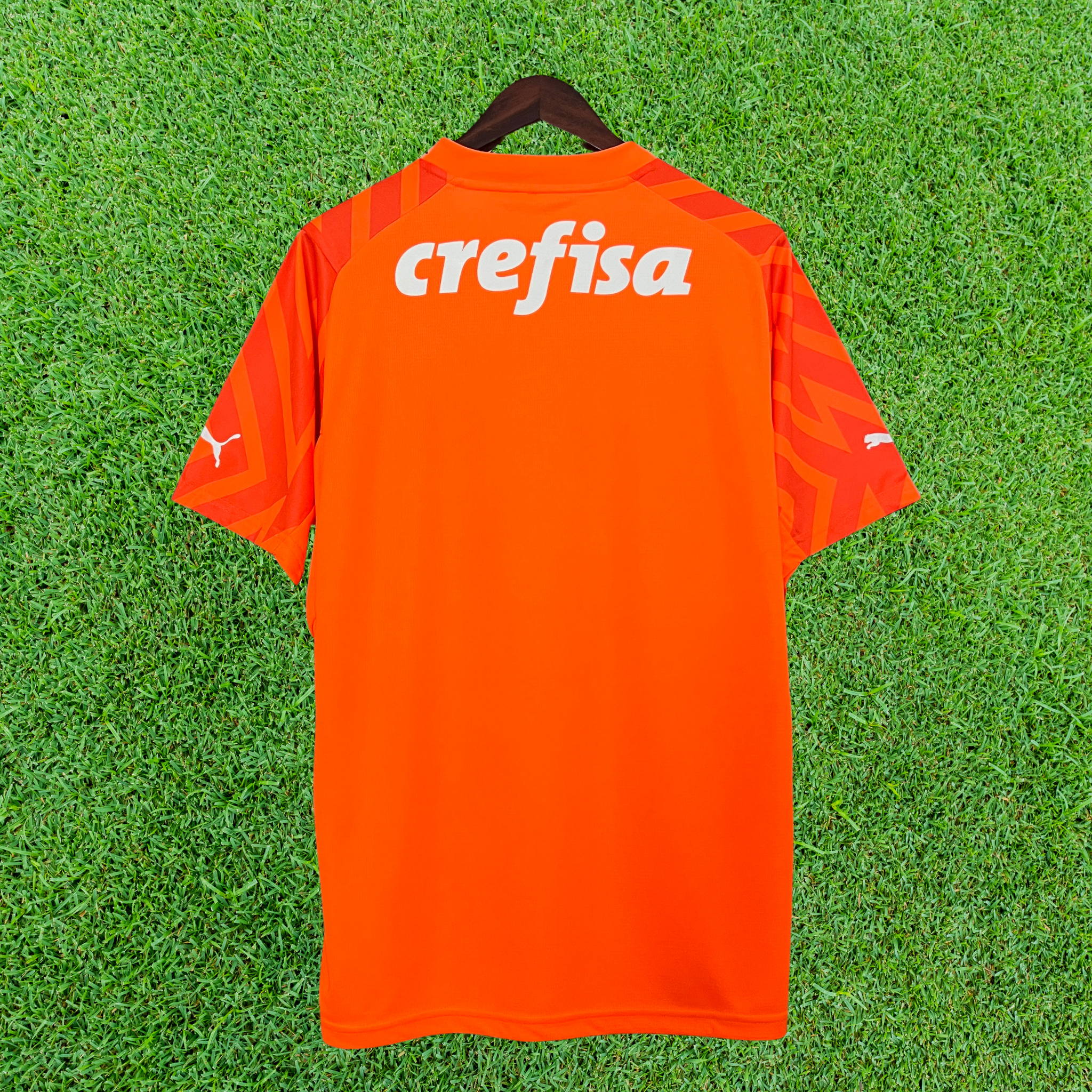 Camisa Palmeiras Goleiro 24/25 Torcedor