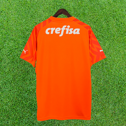 Palmeiras Goalkeeper Jersey 24/25 Fan Version