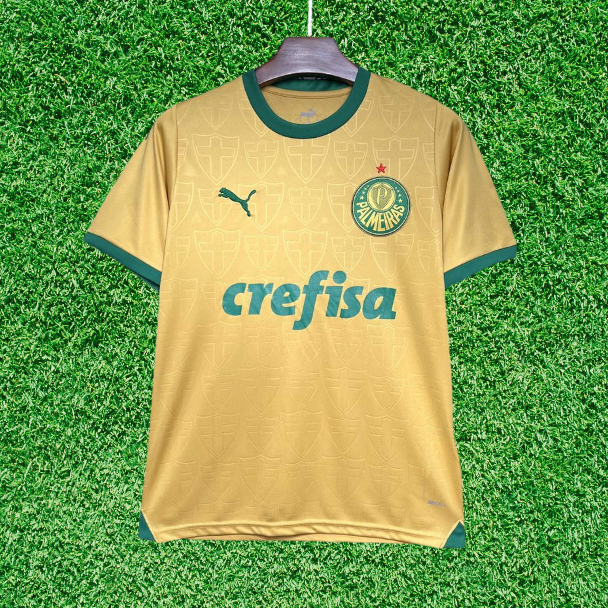 Camisa Palmeiras III 24/25 Torcedor