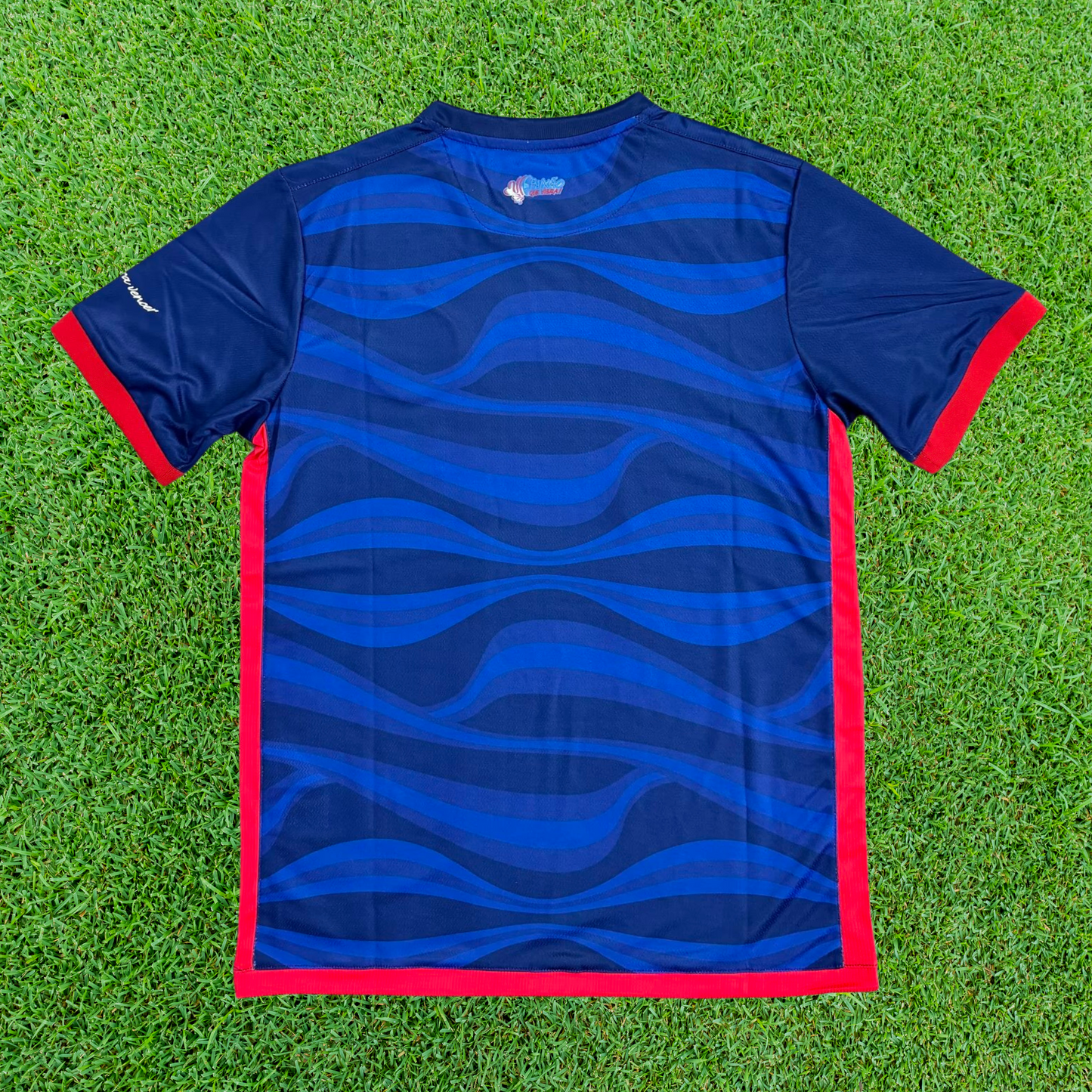 Camiseta tercera del Bahia 24/25 versión para aficionados 