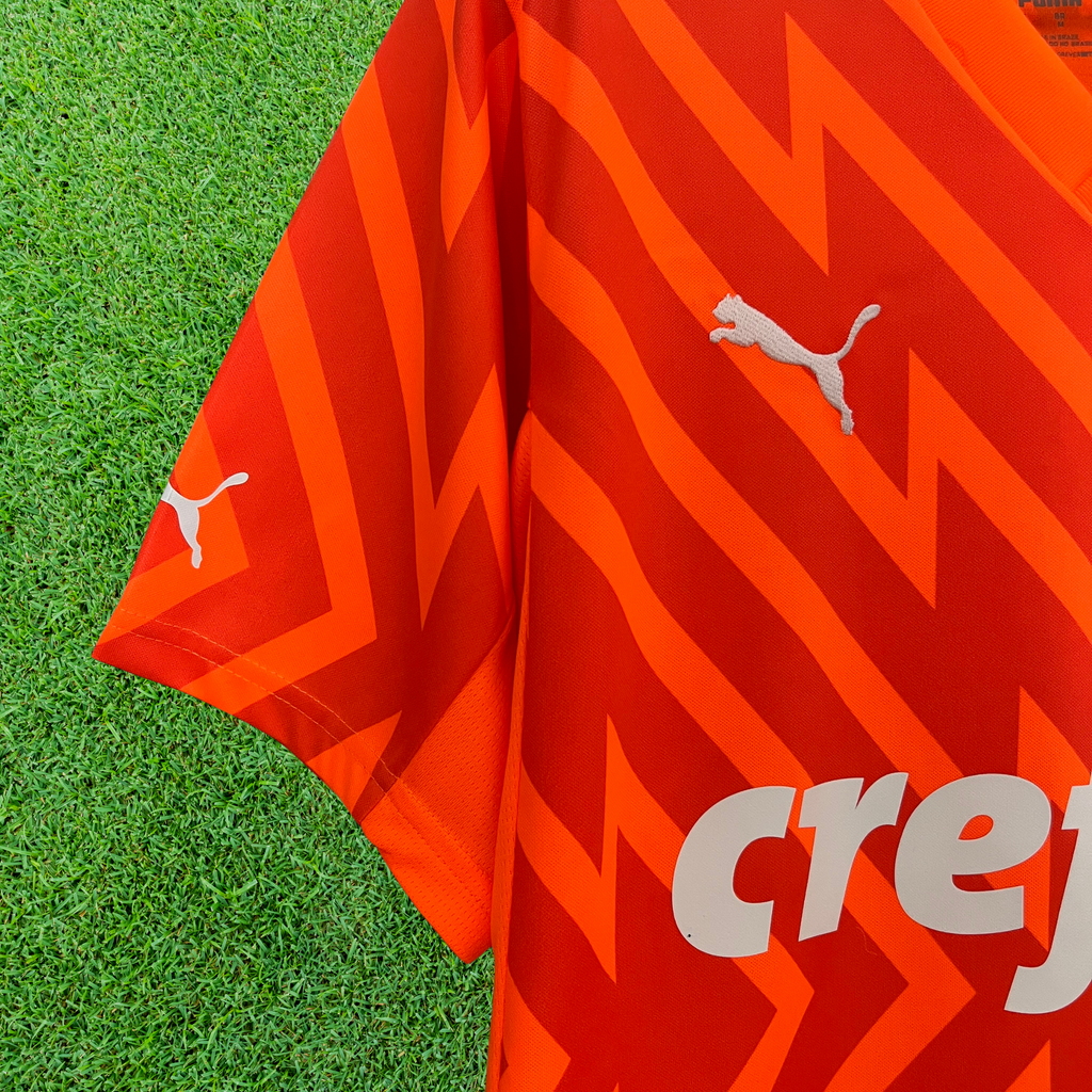 Camisa Palmeiras Goleiro 24/25 Torcedor