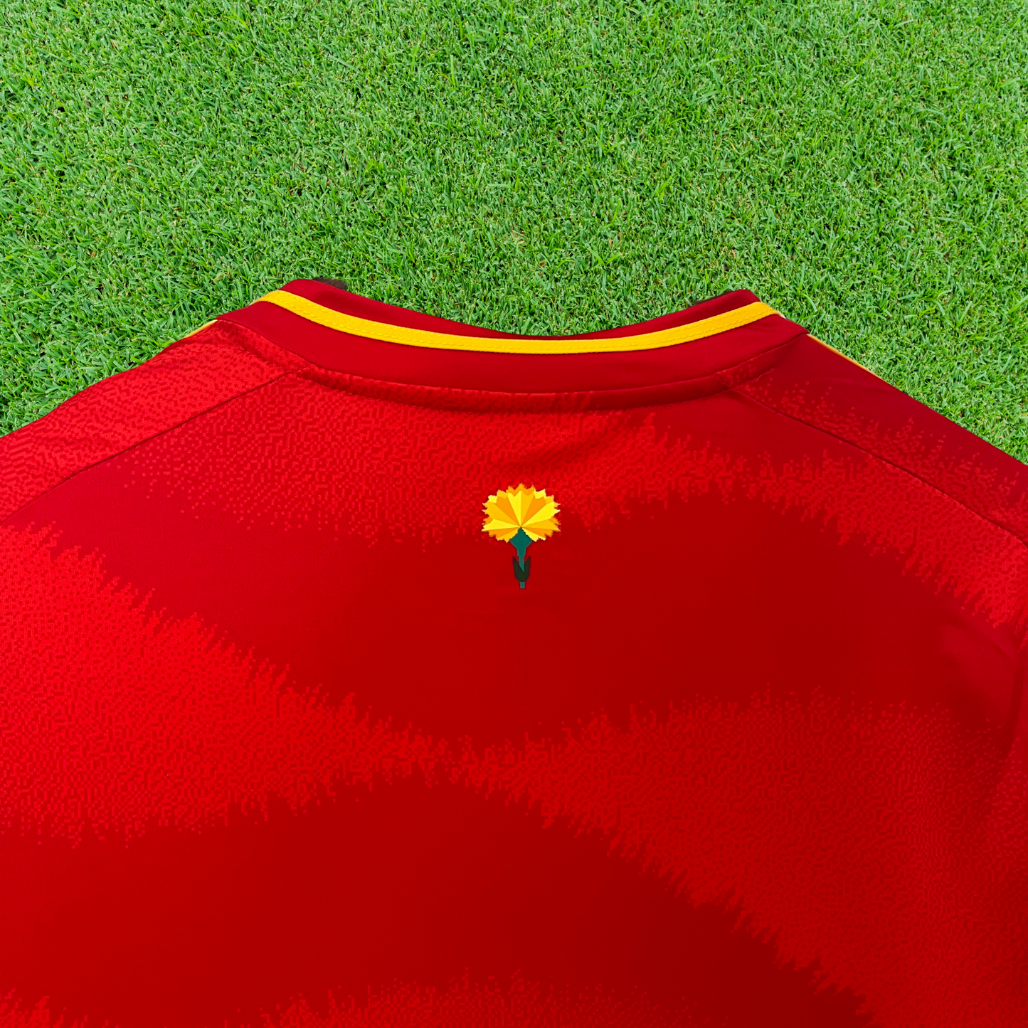 Spain Home Jersey 24/25 Fan Version