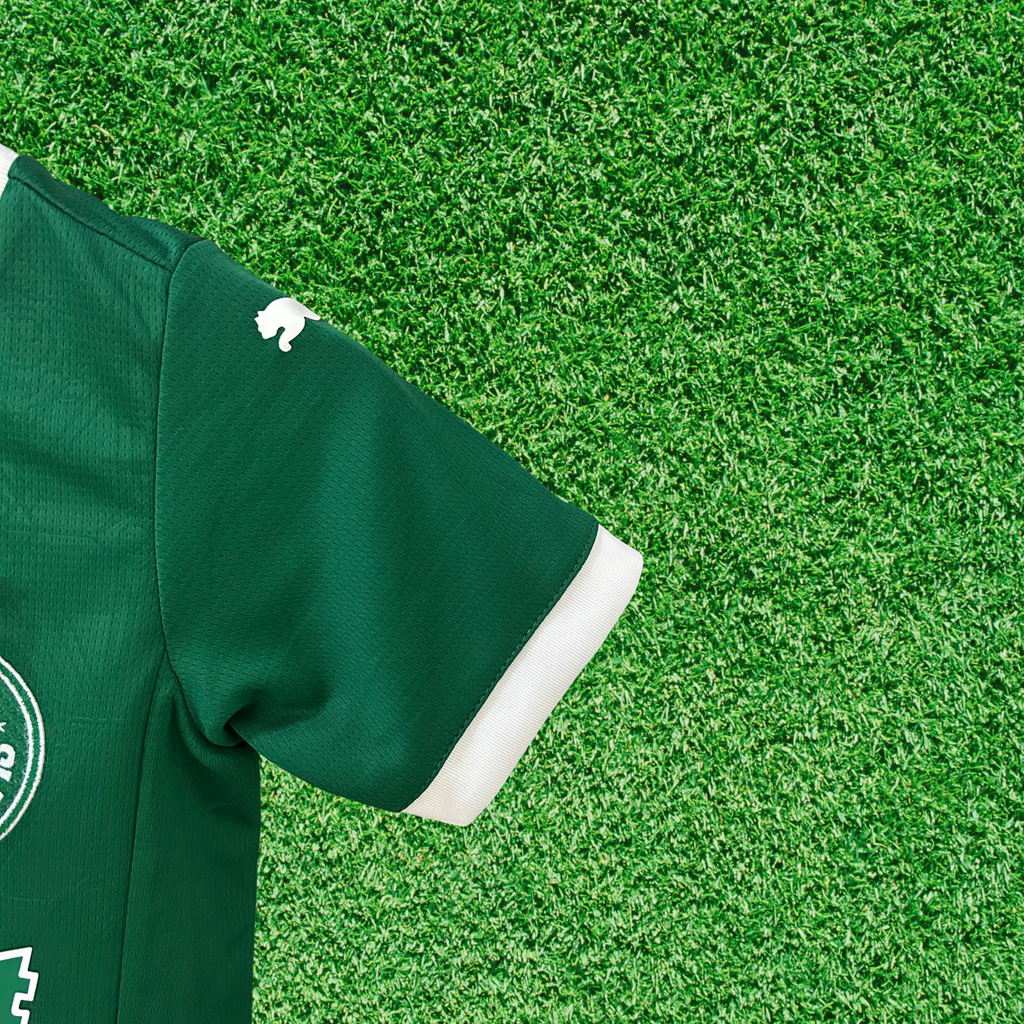 Kit Palmeiras I 25/26 Infantil