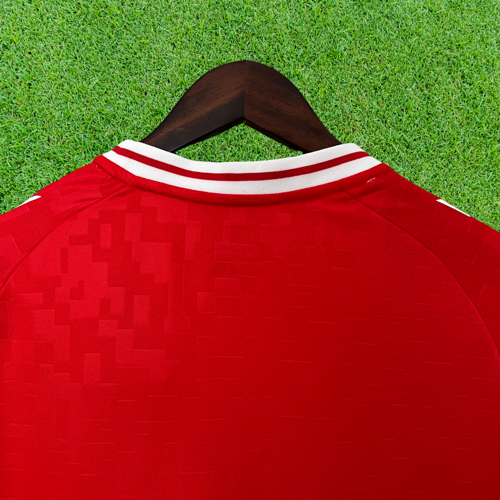 Camisa Dinamarca I 2024 Torcedor