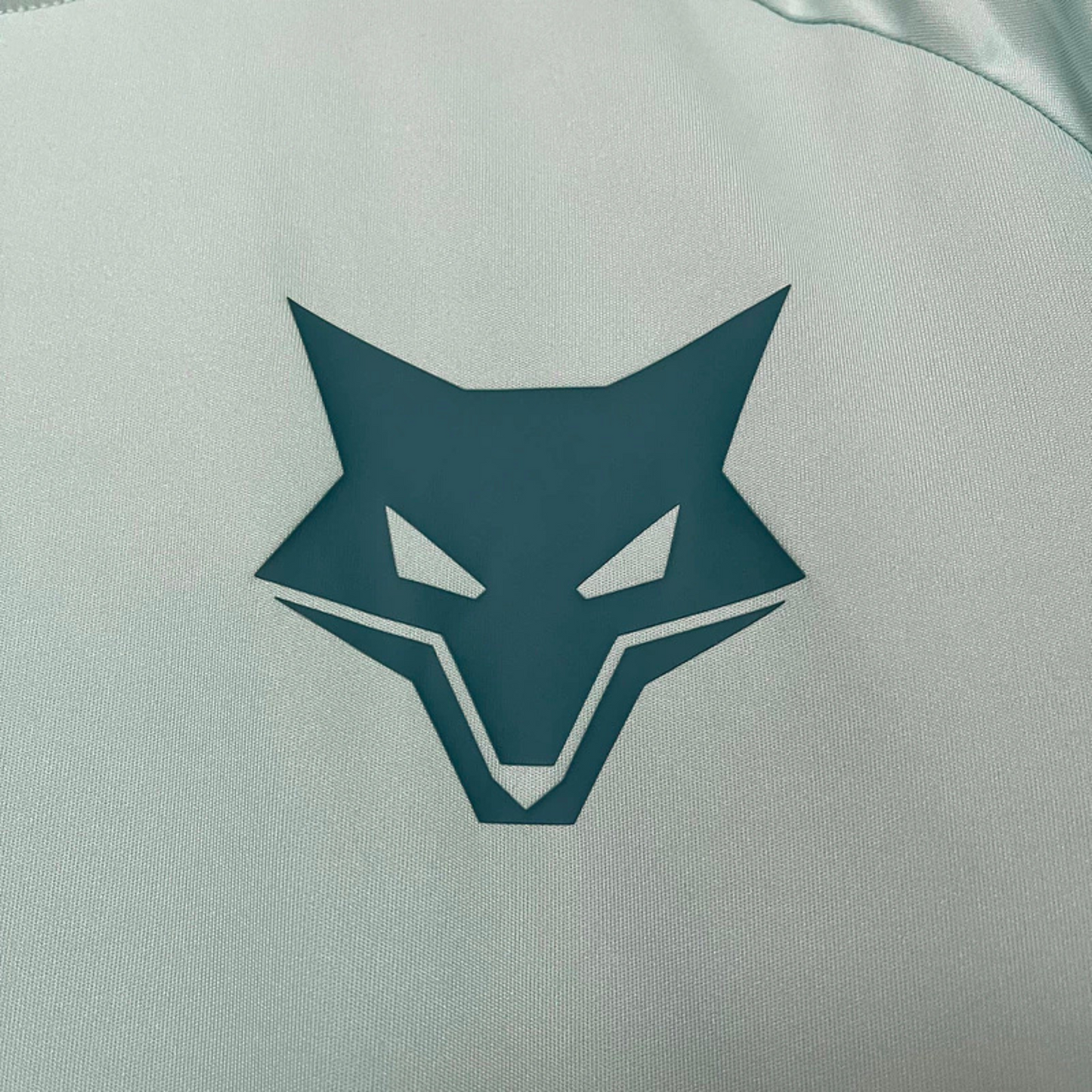 Camiseta de entrenamiento del Cruzeiro I 25/26 Versión Fan 