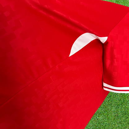 Denmark Home Jersey 2024 Fan Version