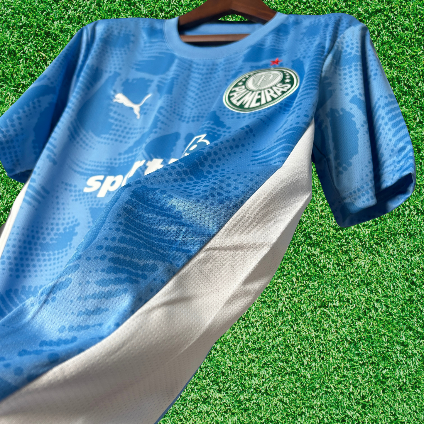Camisa Palmeiras Goleiro I 25/26 Torcedor