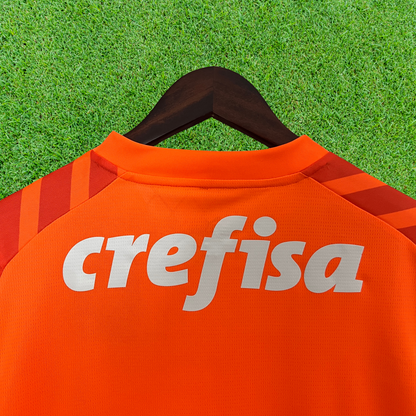 Palmeiras Goalkeeper Jersey 24/25 Fan Version