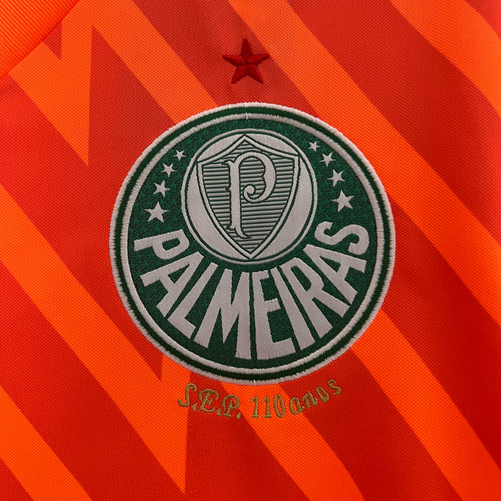 Camisa Palmeiras Goleiro 24/25 Torcedor