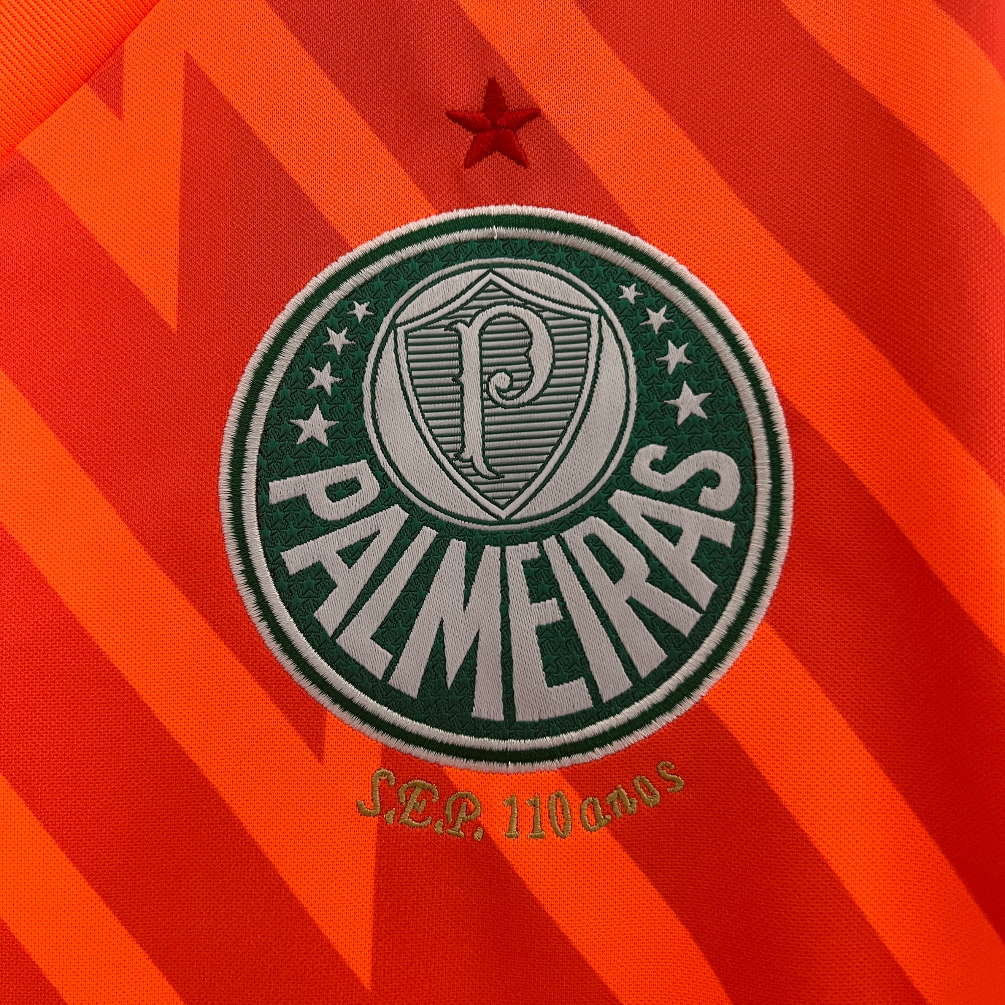 Camisa Palmeiras Goleiro 24/25 Torcedor