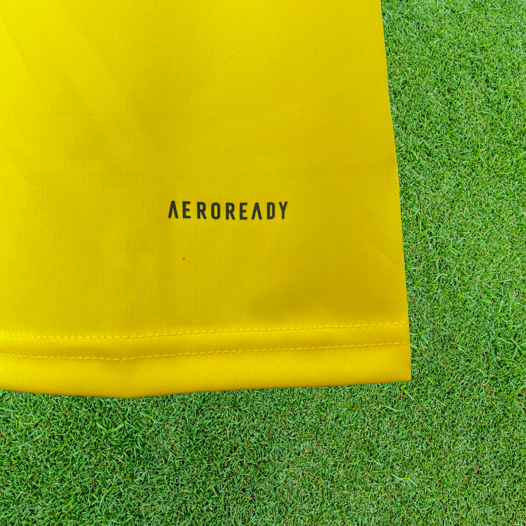 Regata Flamengo Amarela 24/25 Torcedor