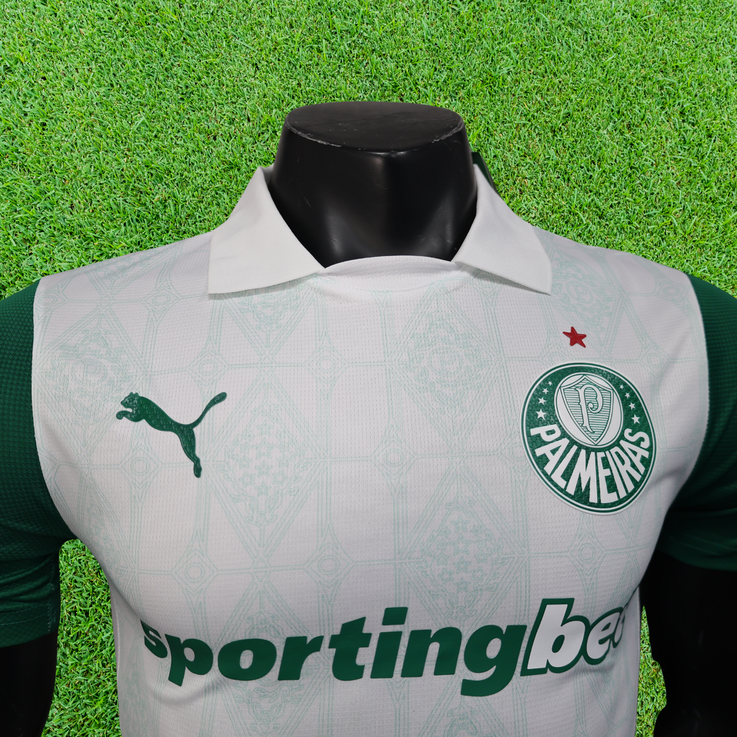 Camiseta Palmeiras Segunda 25/26 Jugador 