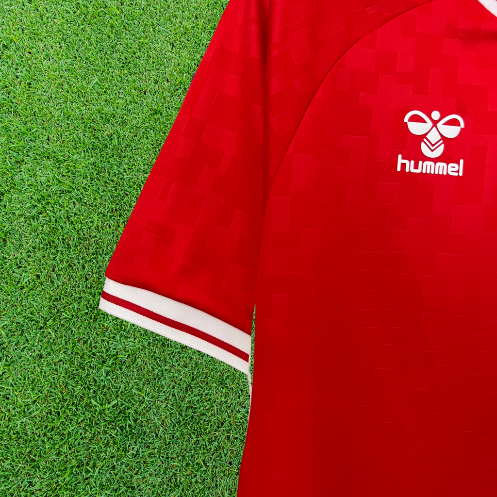 Camisa Dinamarca I 2024 Torcedor