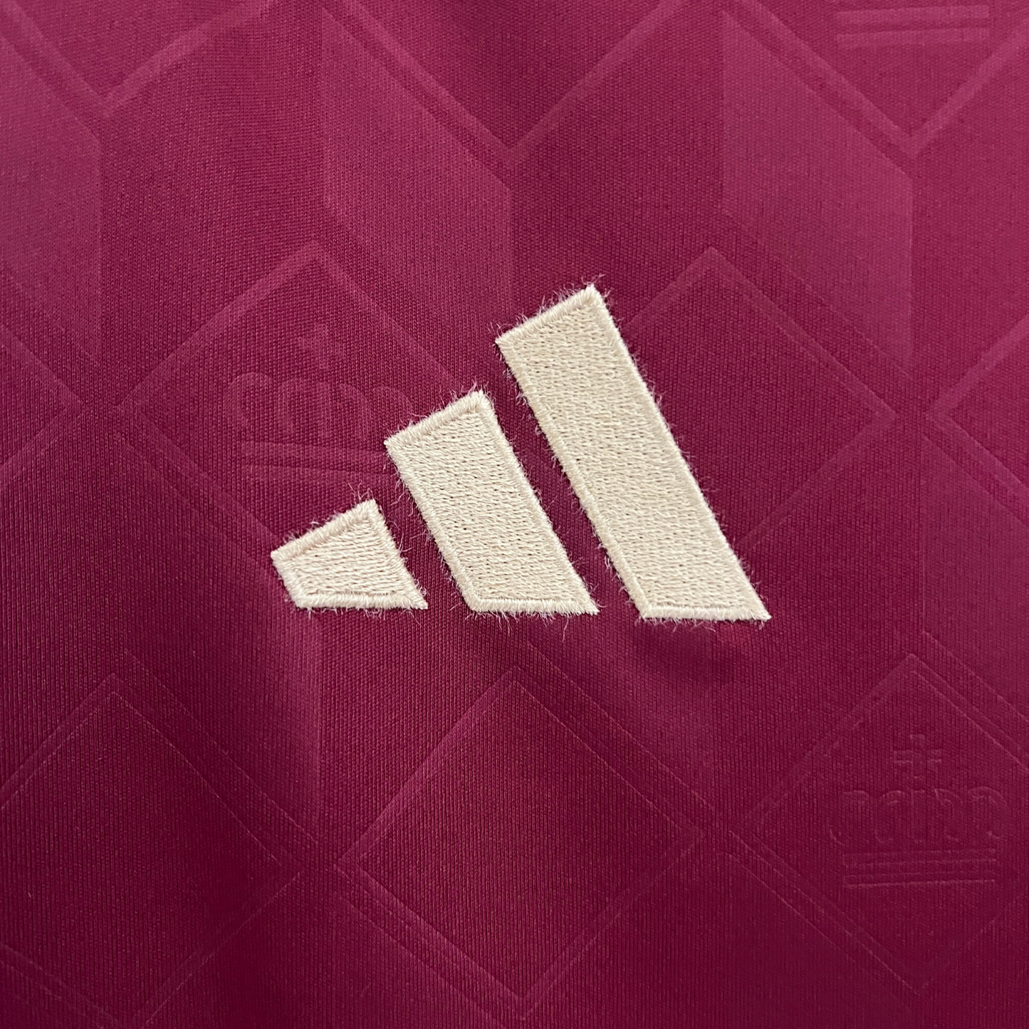 Camisa Bélgica I 24/25 Torcedor