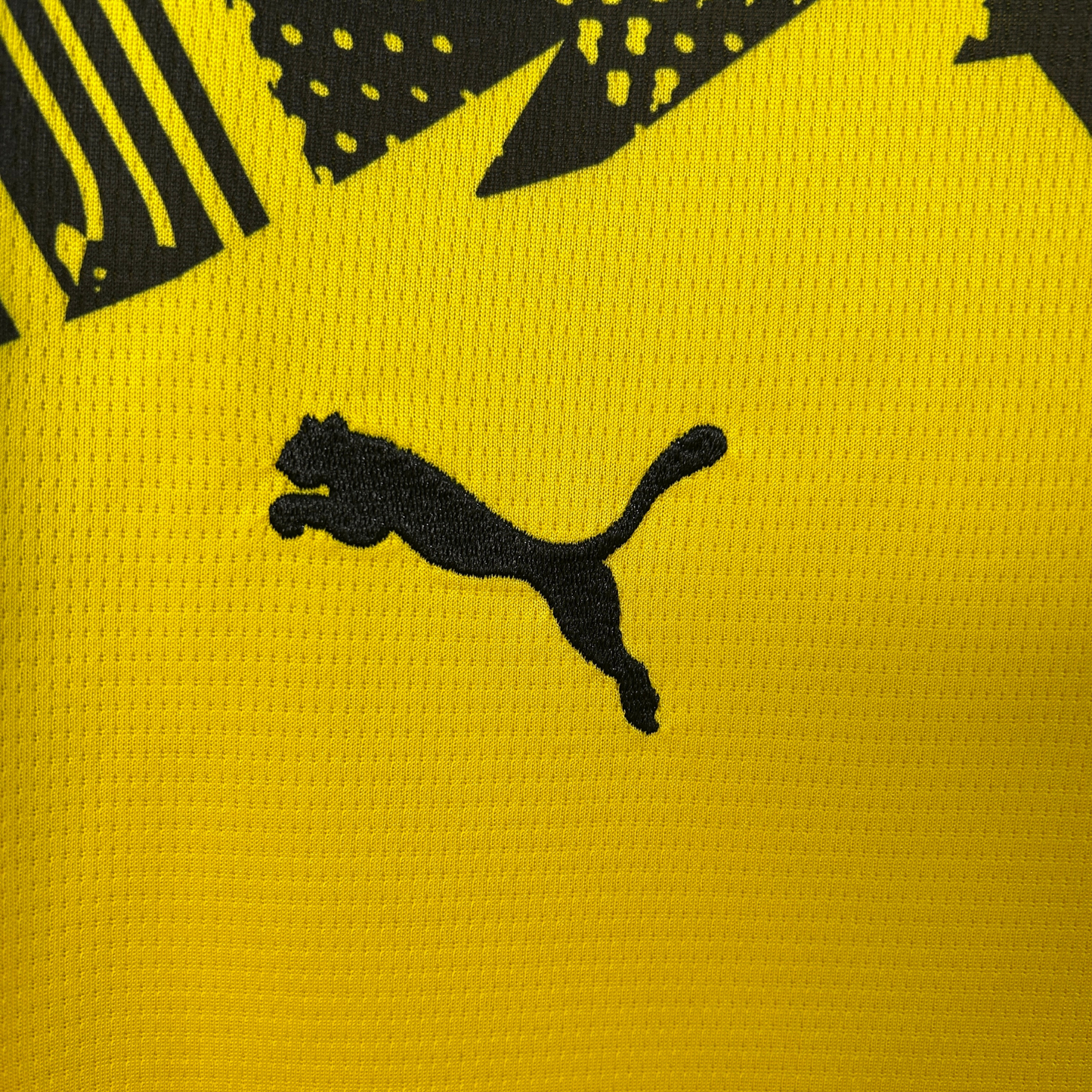 Borussia Dortmund Home Jersey 25/26 Fan Version