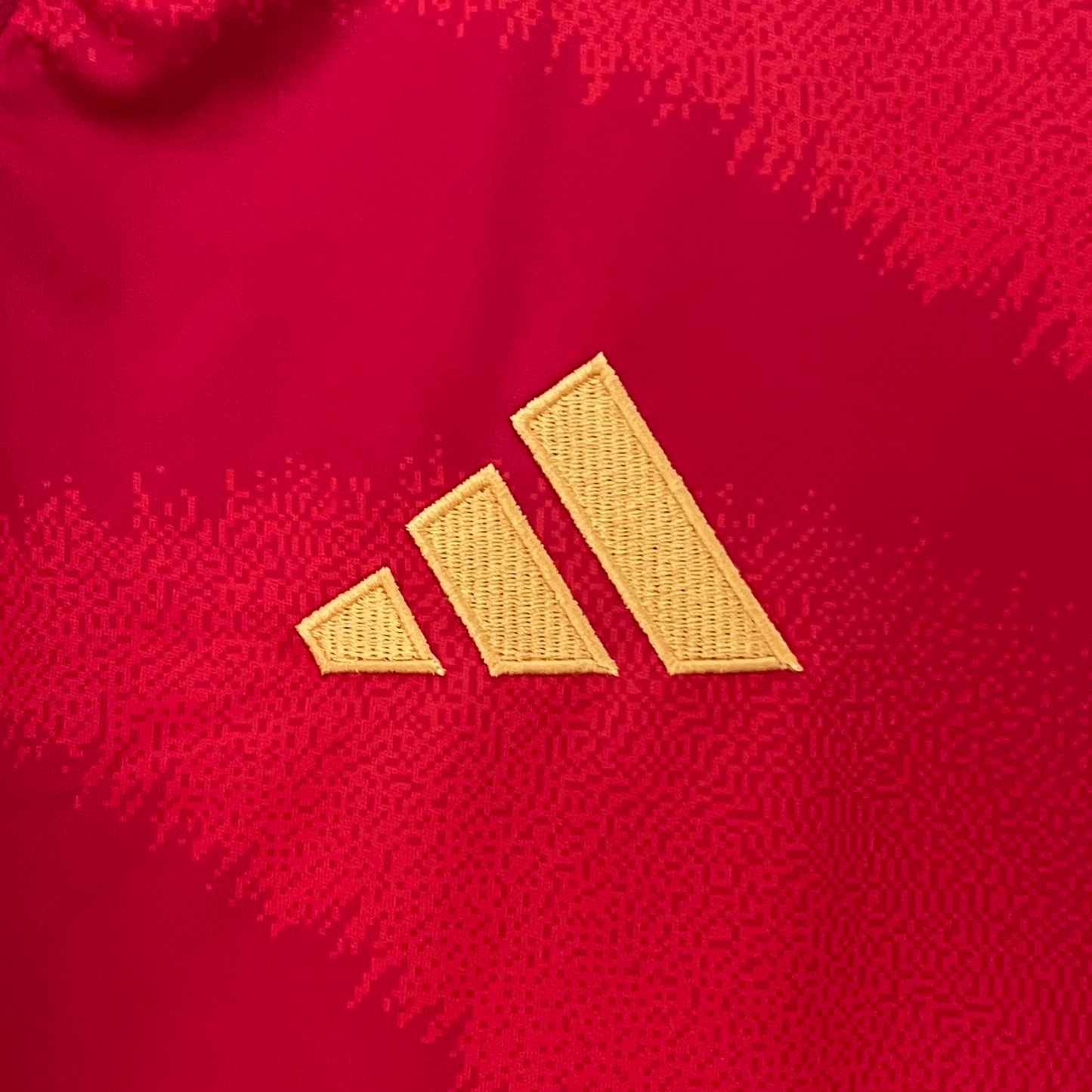 Spain Home Jersey 24/25 Fan Version
